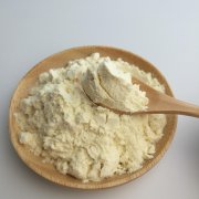 乳清蛋白粉，乳清蛋白粉