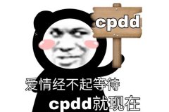 cpdd是什么意思，cpdd是什么