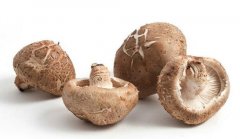 蘑菇，蘑菇的营养价值（