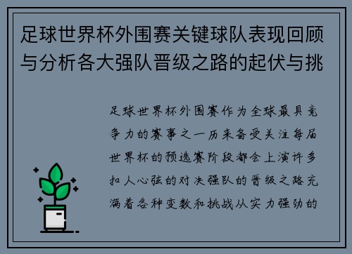 足球世界杯外围赛关键球队表现回顾与分析各大强队晋级之路的起伏与挑战