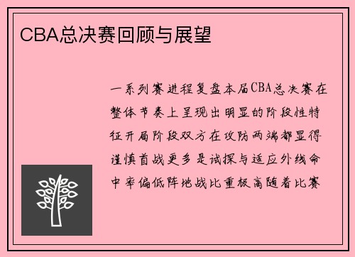 CBA总决赛回顾与展望